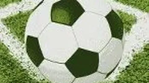 爱游戏体育 资讯 084012 flm