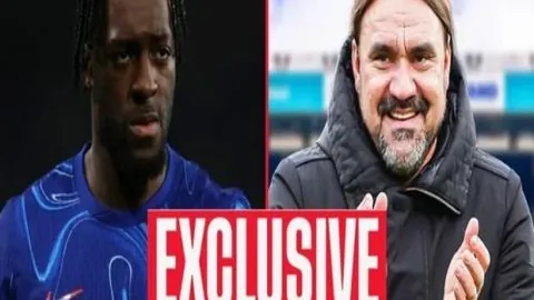 独家解读：埃切韦里加盟曼城，冬窗归来展露天赋，无缝对接，完美演绎无限潜能！